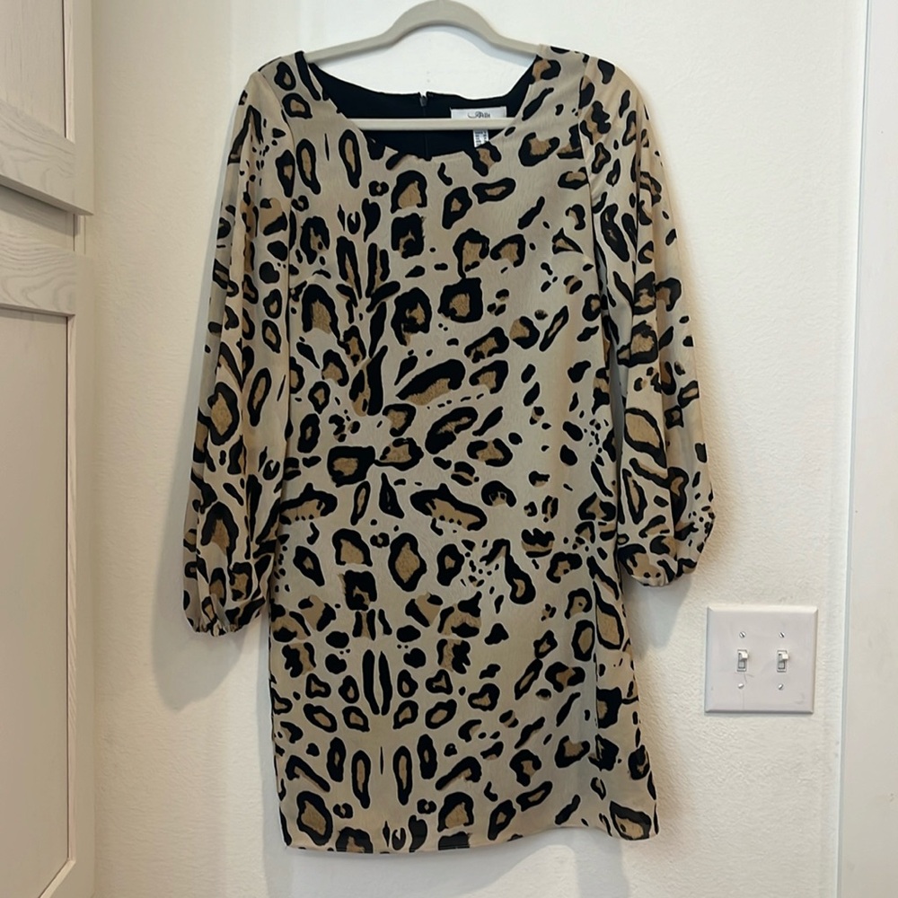 Belle Badgley Mischka dress